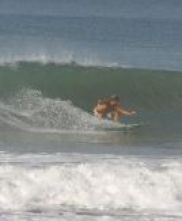surfdude