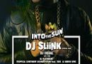Into The Sun With DJ Sliink (Owsla Rec., USA)