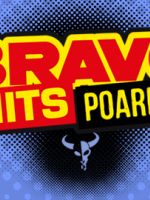{de}Bravo Hits Party{/de}